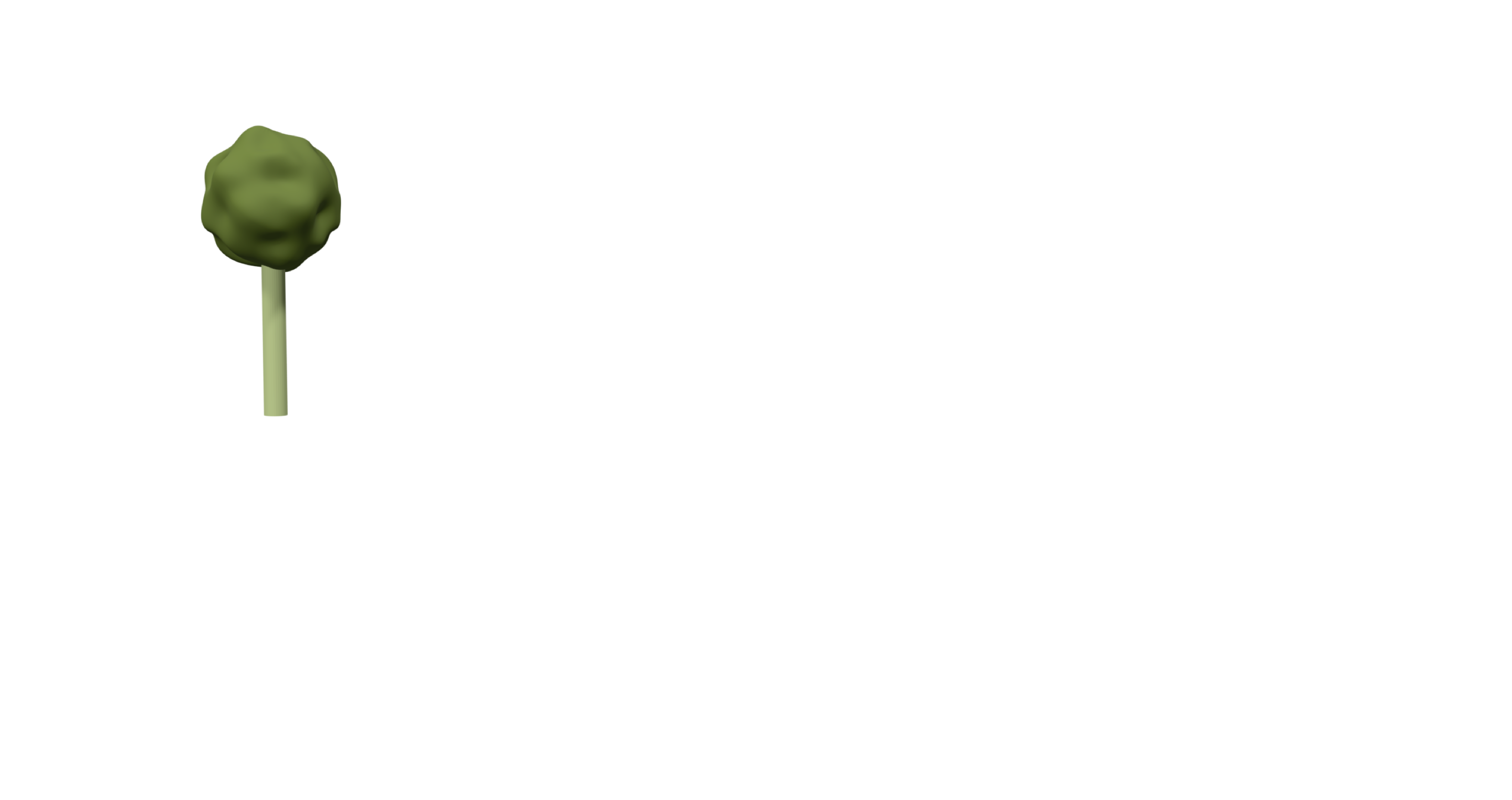 Baum